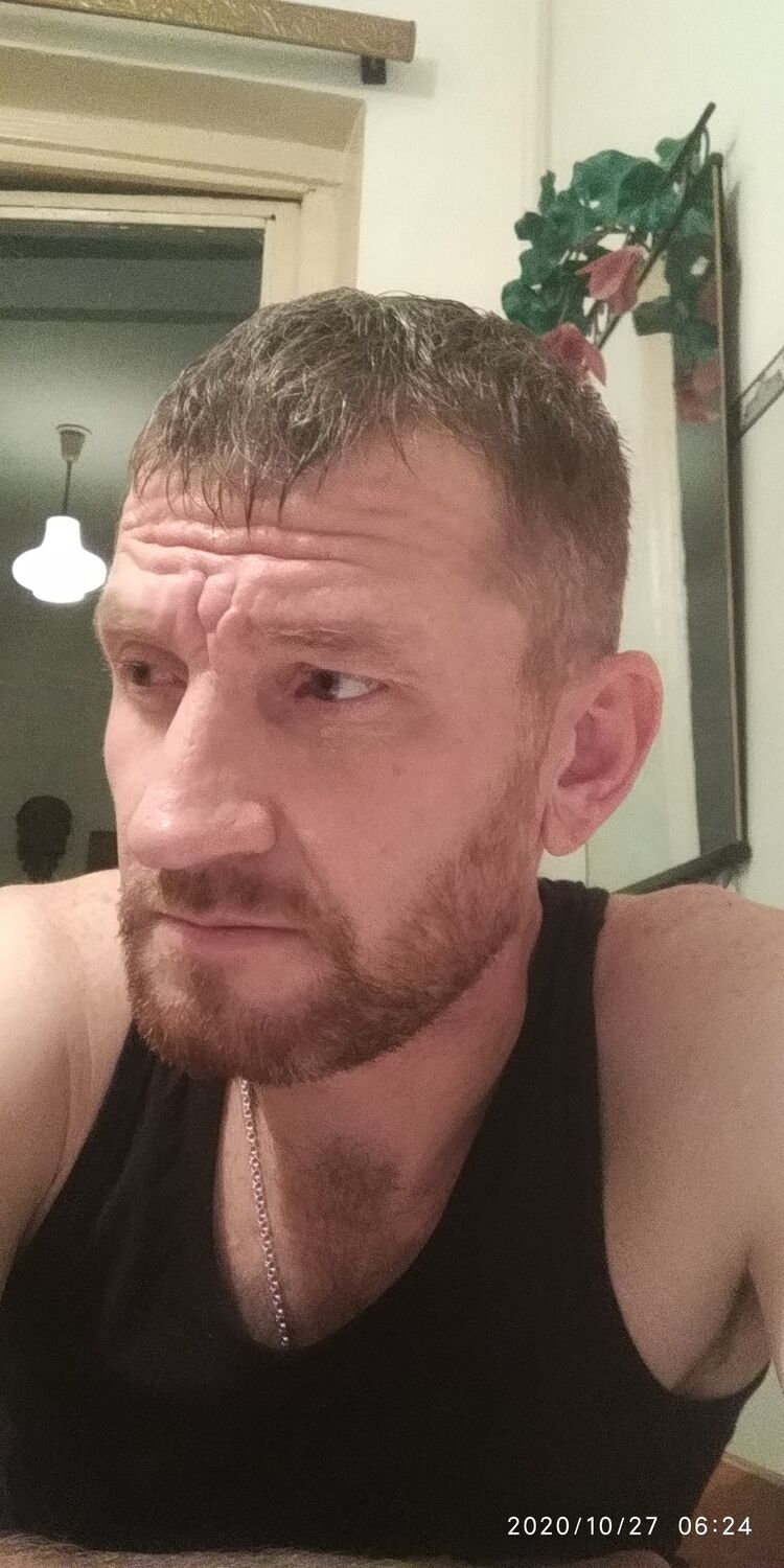  23292961  , 43 ,    
