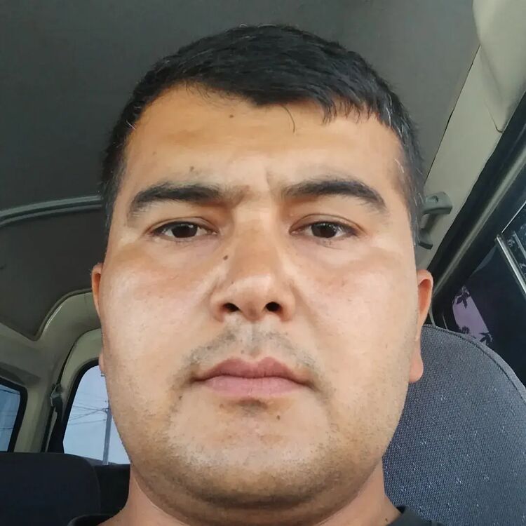 ���� 55077951 ������� Habib, 31 ���, ���� ���������� � ��������