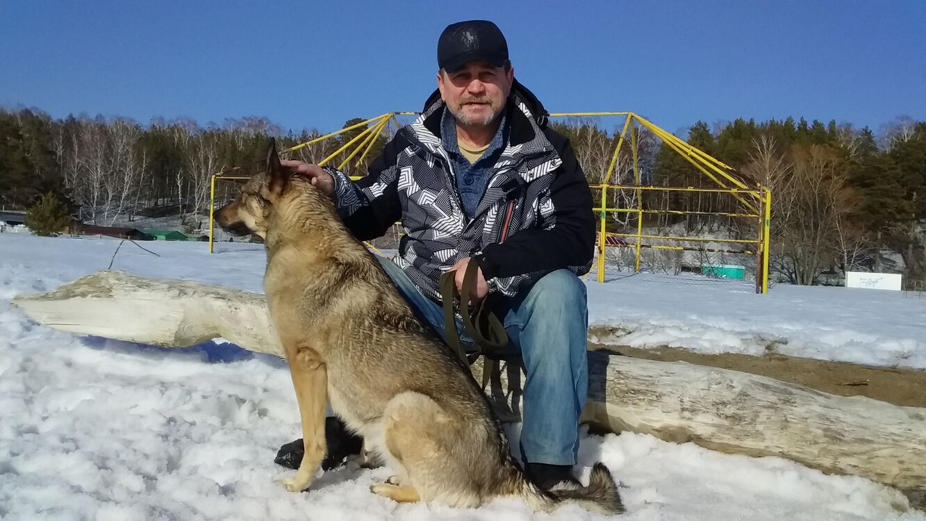 ���������� �����������, ���� ������� �����, 61 ���, ������������ ��� c�������� ���������