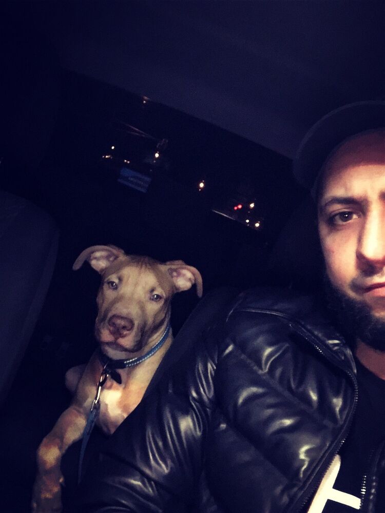 ���������� ���������, ���� ������� �����, 39 ���, ������������ ��� ������, ����� � ���������, ���������