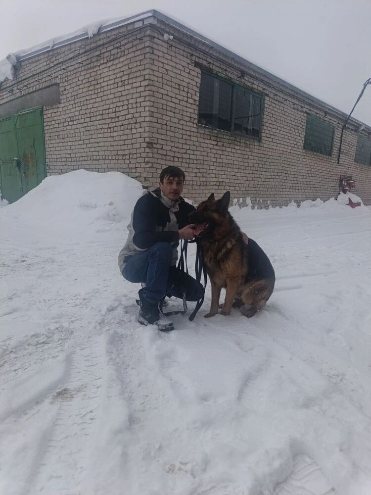 ���������� ������, ���� ������� ��������, 41 ���, ������������ ��� ������, ����� � ���������