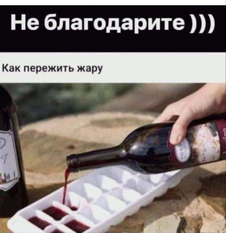  16586071  , 62 ,    