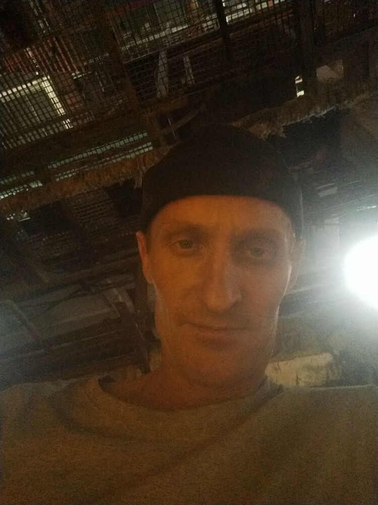  40511331  , 37 ,    