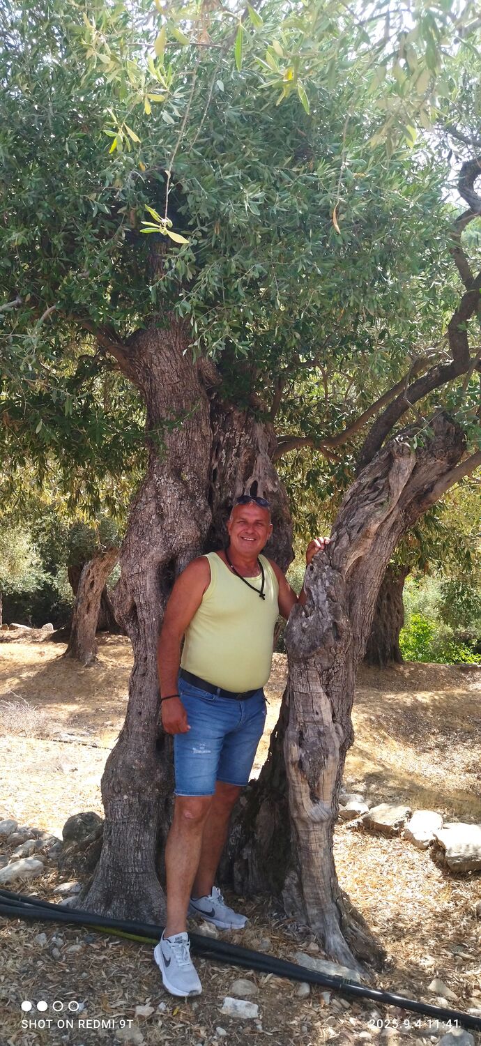  53714881  Goran, 53 ,     