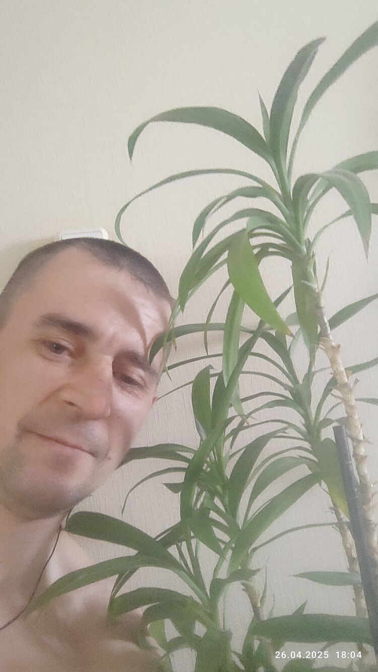 ���������� ����������, ���� ������� �������, 40 ���, ������������ ��� ������, ����� � ���������, ���������