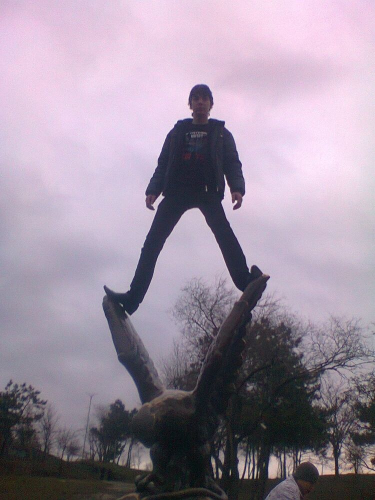 ���� 17278961 ������� Dd, 32 ����, ���� ���������� � ����������