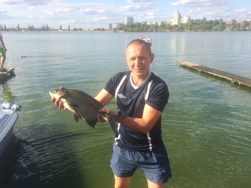 ���� 17787701 ������� �����, 44 ����, ���� ���������� � ��������