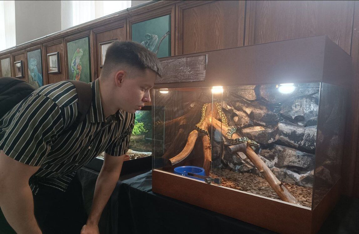 ���� 52967791 ����� ������, 20 ���, ���� ���������� � ������