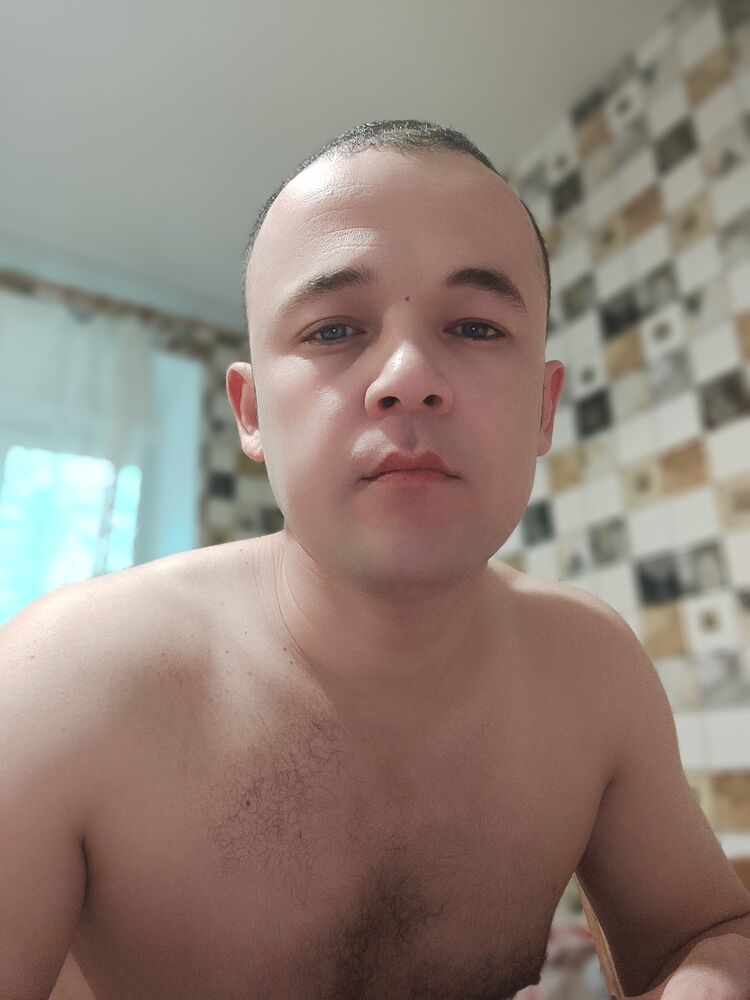  44635141  , 31 ,    -