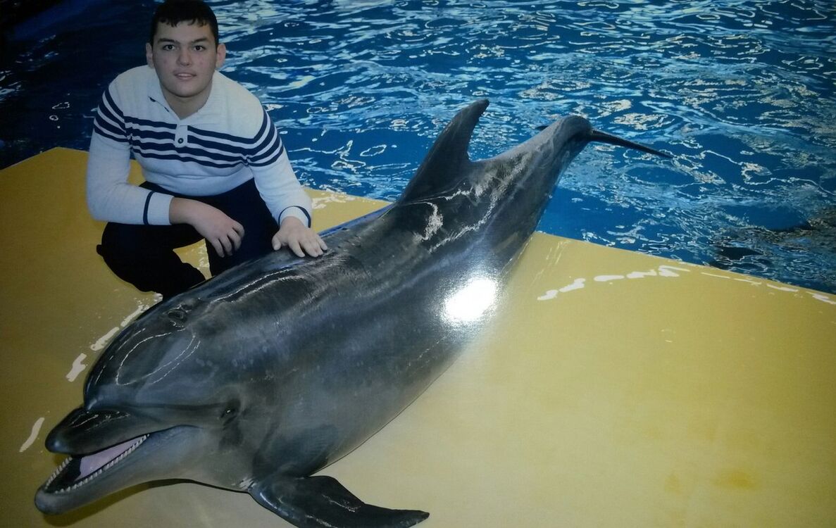 ���������� ������ ��������, ���� ������� Arslan, 28 ���, ������������ ��� ������, ����� � ���������, c�������� ���������