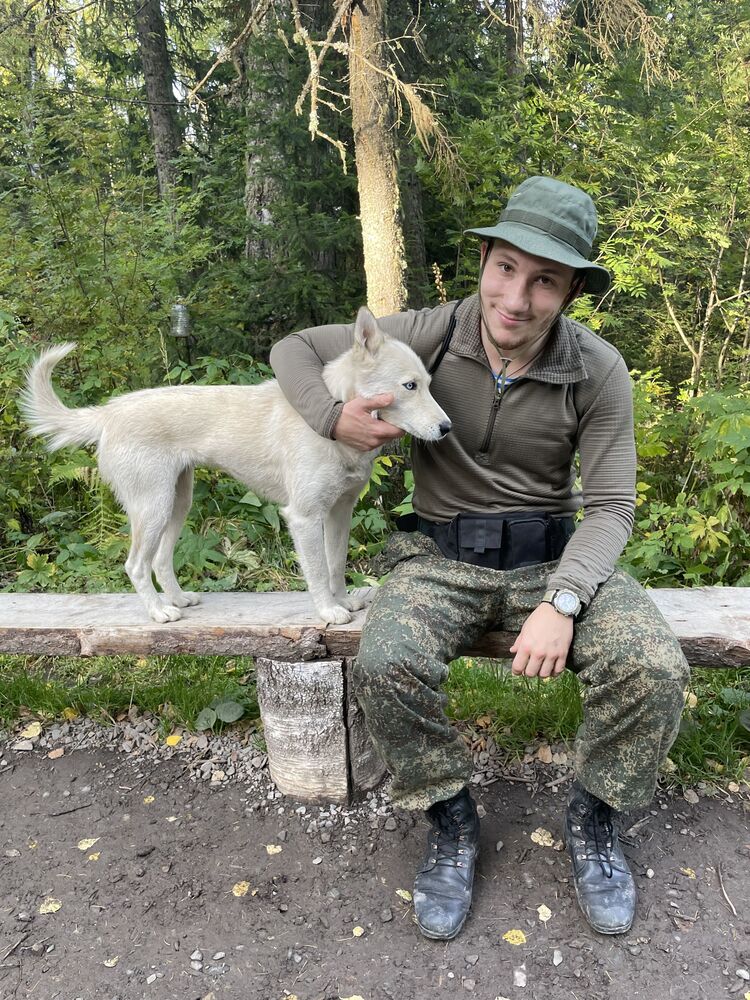 ���� 33493611 ������� �������, 26 ���, ���� ���������� � �����-����������