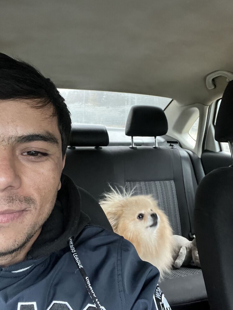 ���������� ������, ���� ������� ����, 31 ���, ������������ ��� ������, ����� � ���������