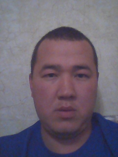  6366521  , 38 ,    