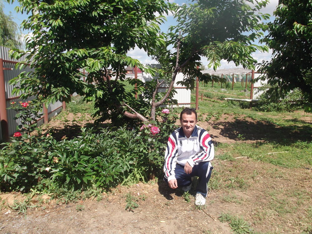  22699441  Vartan, 50 ,     