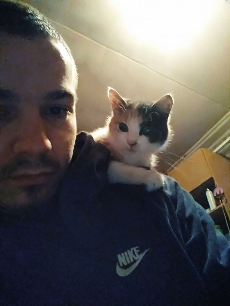 ���� 25502531 ������� �����, 28 ���, ���� ���������� � �����-����������