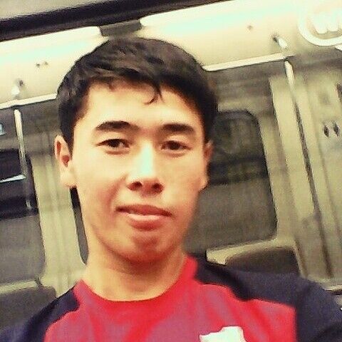  7934101  , 30 ,    -