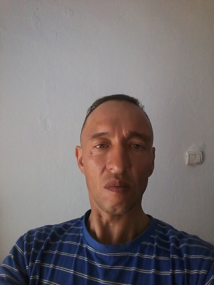  9256911  , 51 ,    