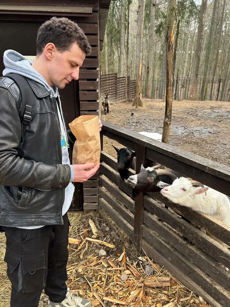 ���� 49443071 ������� ����������, 33 ����, ���� ���������� � ������