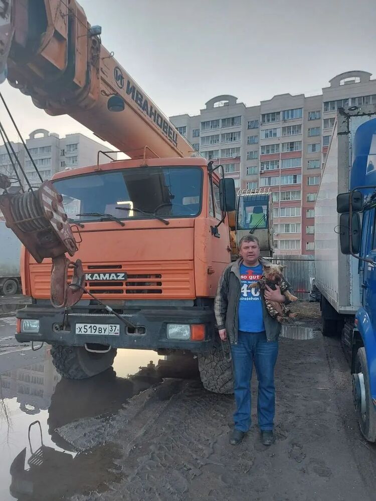  25389361  , 43 ,    