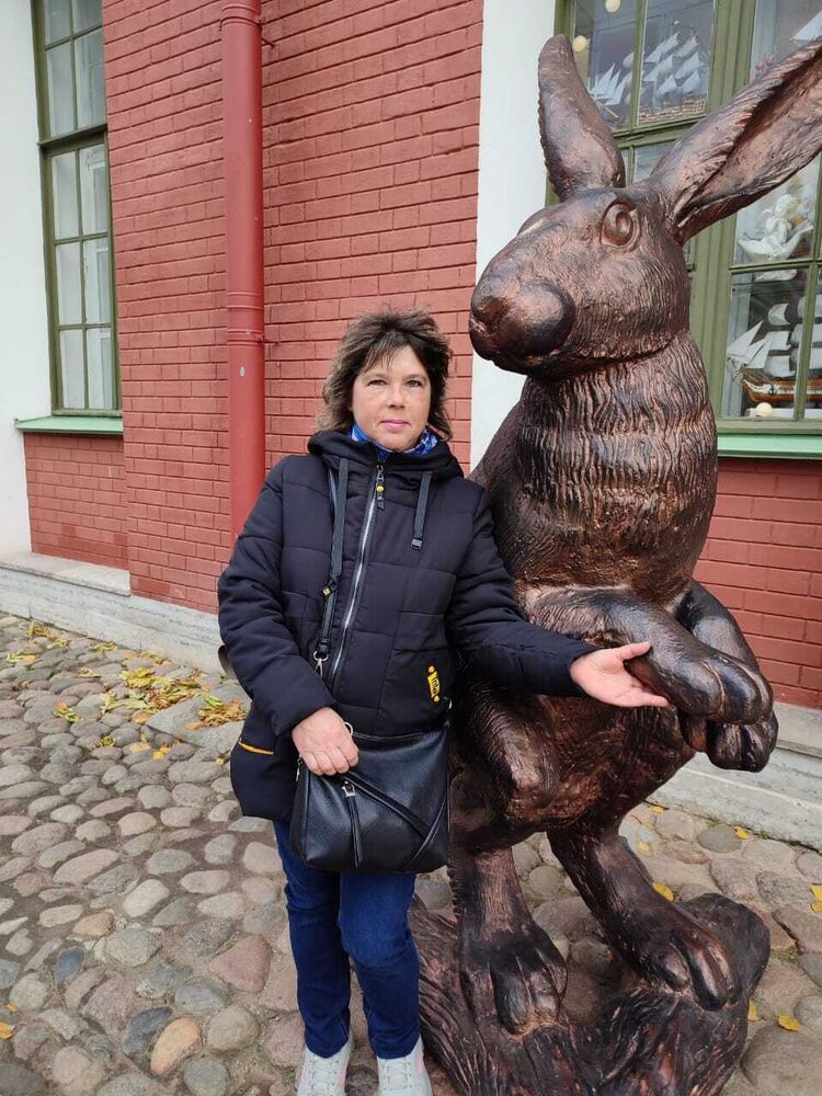  24141721  , 52 ,    -