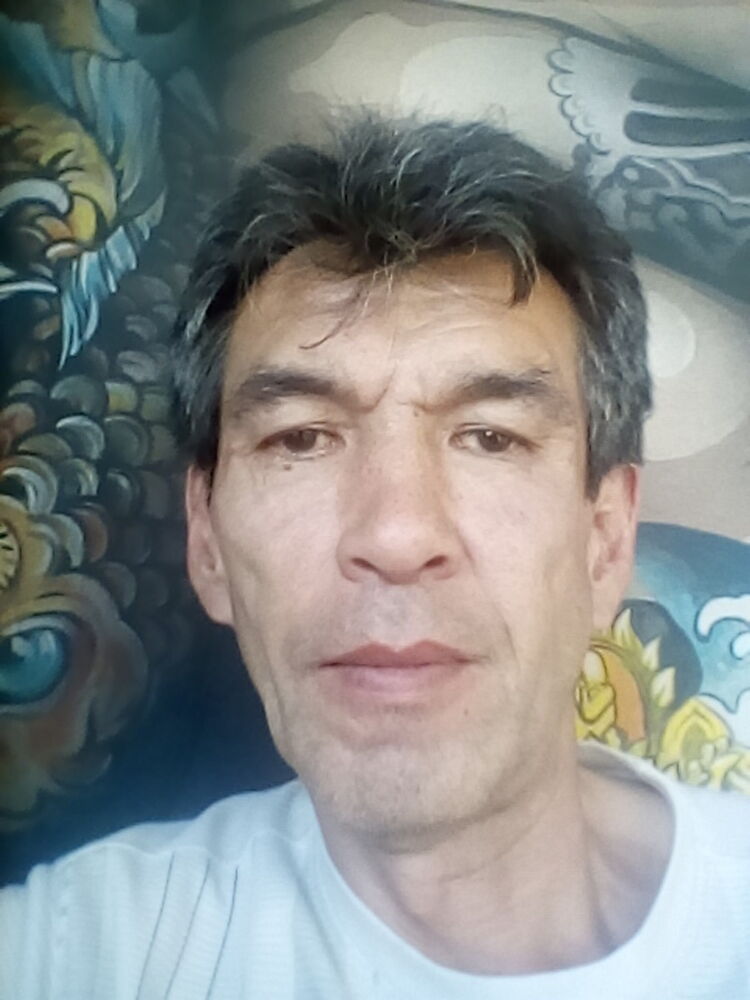  15509081  , 61 ,    