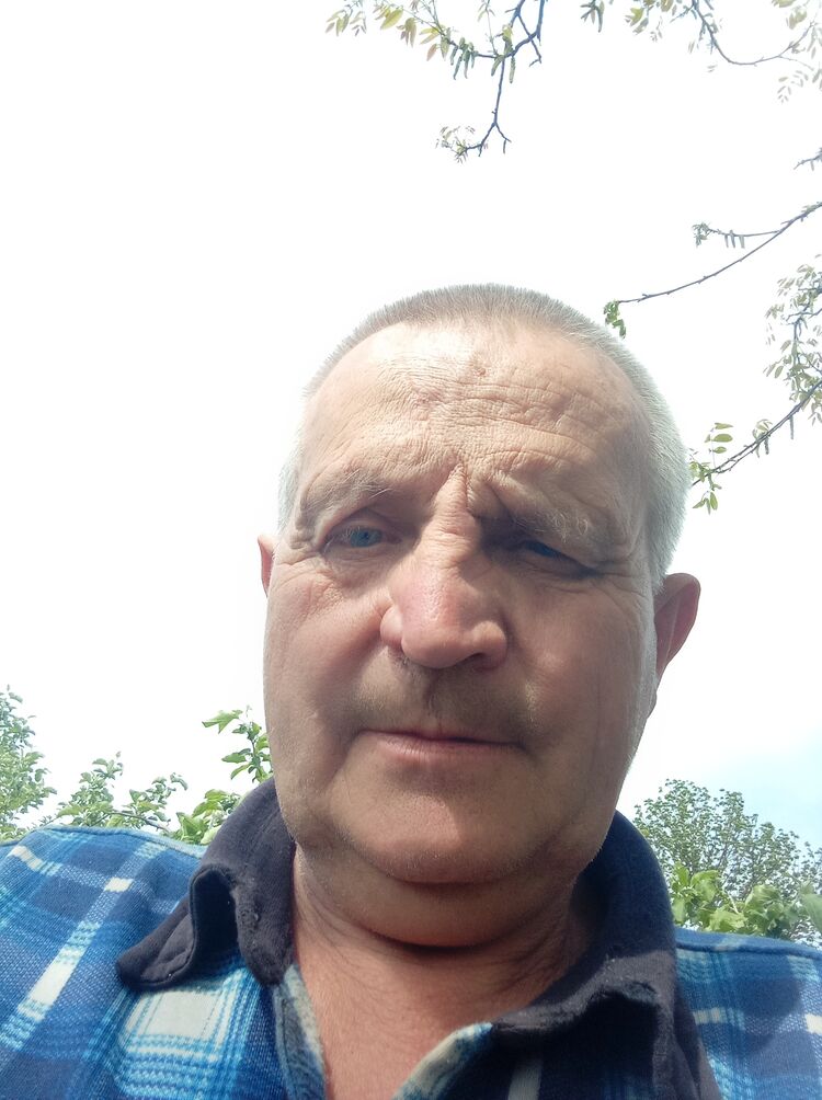  ,   , 66 ,     , 