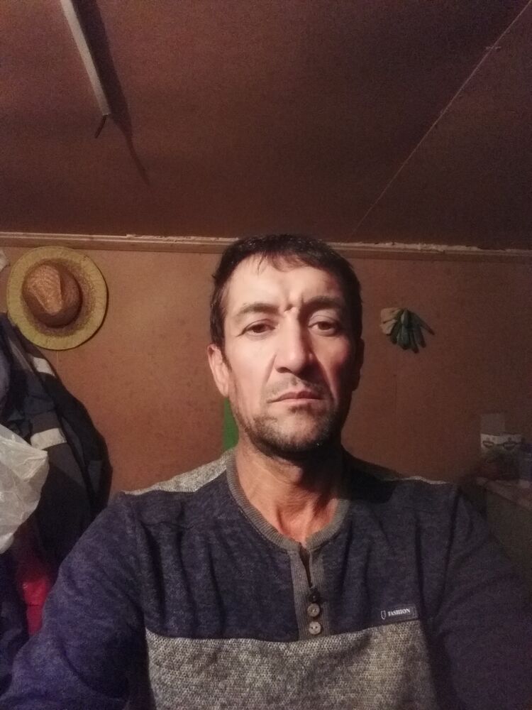  23920761  , 50 ,    