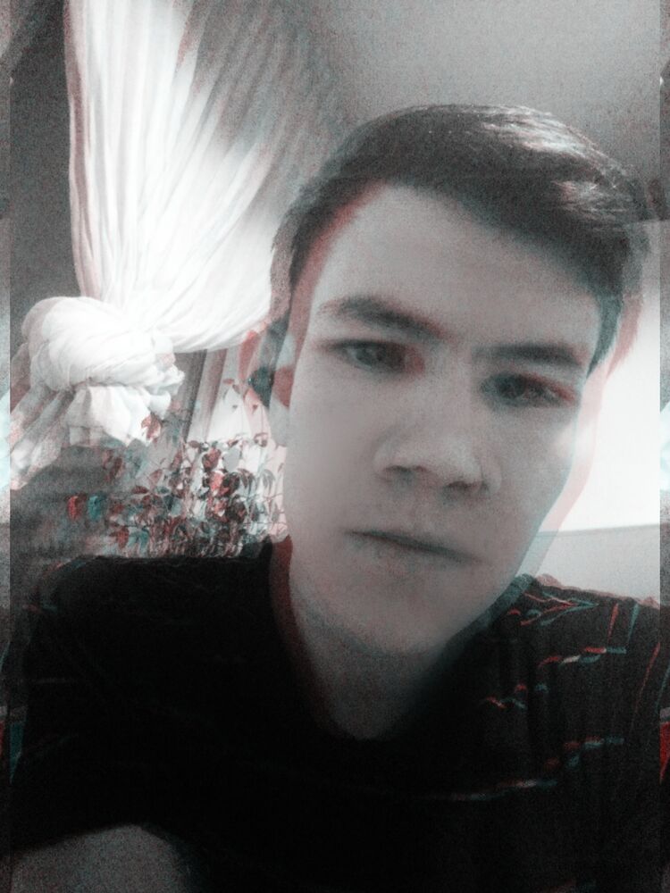  31590081  , 24 ,    -