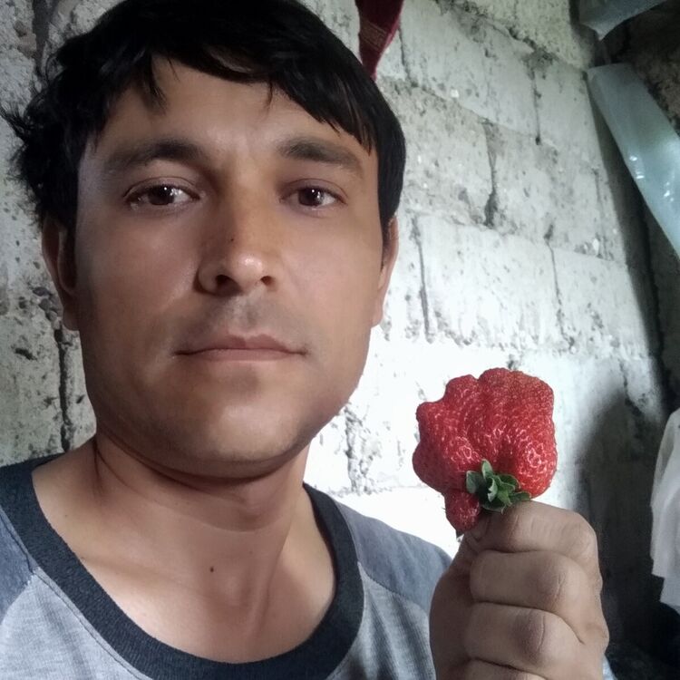  ,   Bahtiyor, 40 ,   ,   , c , 