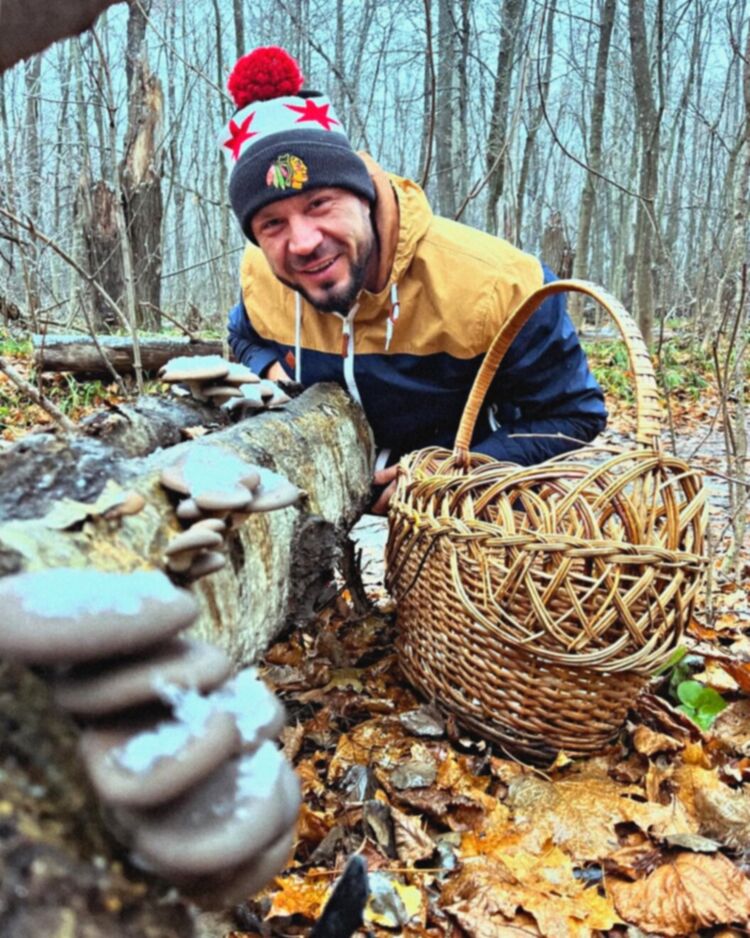 ���� 54951591 ������� ����������, 41 ���, ���� ���������� � ����������