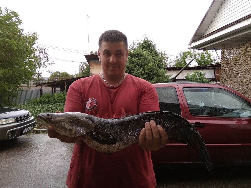 ���������� ������, ���� ������� �����, 47 ���, ������������ ��� ������, ����� � ���������, c�������� ���������