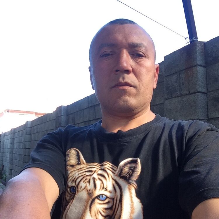 ���� 8667791 ������� �������, 54 ����, ���� ���������� � ������