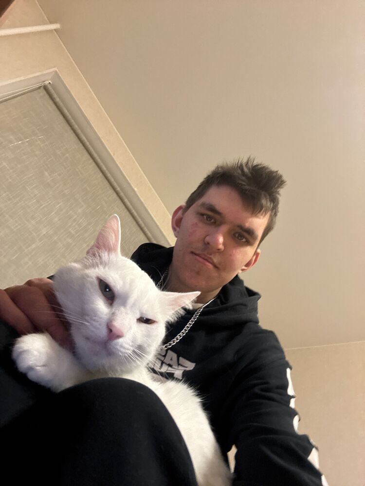 ���������� ������, ���� ����� ��������, 23 ����, ������������ ��� ������, ����� � ���������