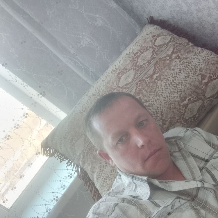  41875441  , 41 ,    
