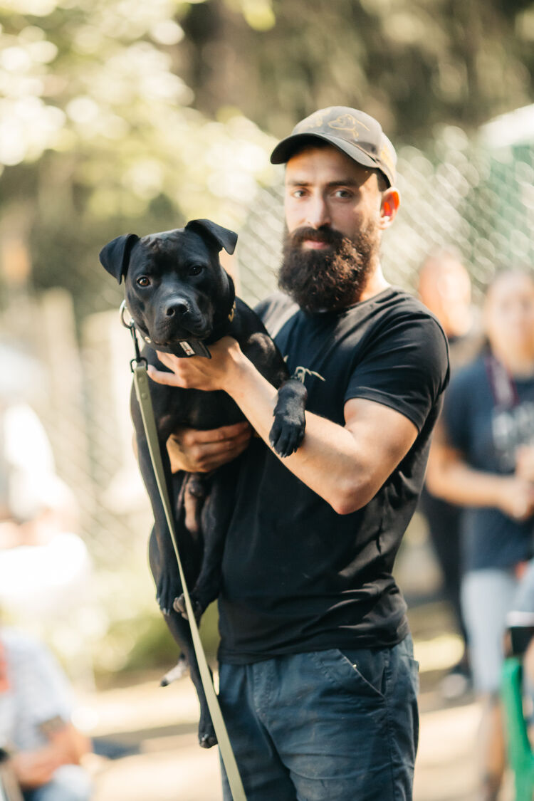 ���� 29404811 ������� ������, 33 ����, ���� ���������� � �����-����������