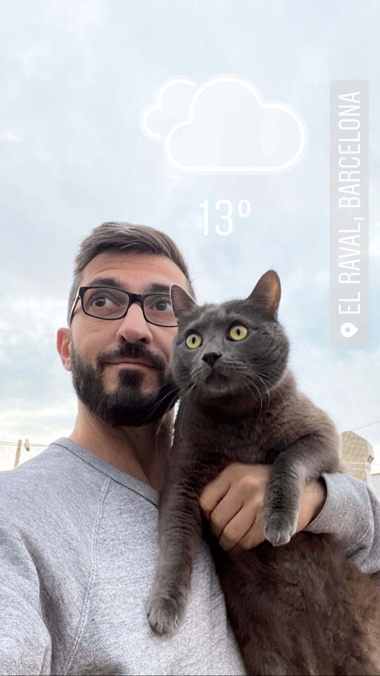 ���������� ������-��-����, ���� ������� ������, 35 ���, ������������ ��� ������, ����� � ���������, c�������� ���������, ���������