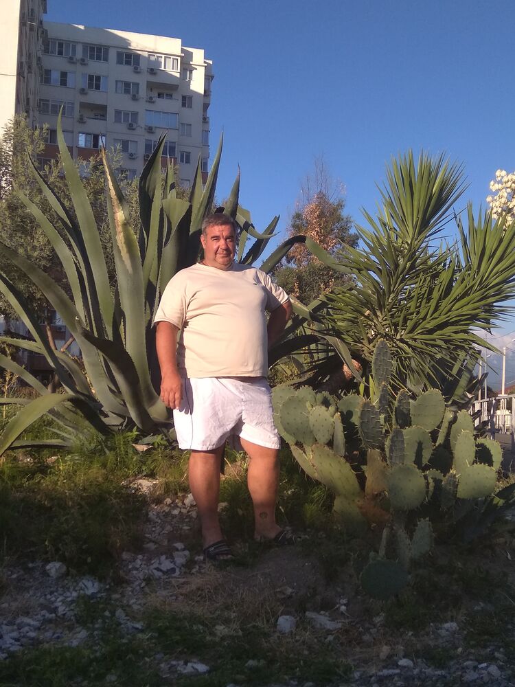 ���������� ���������, ���� ������� ������������, 50 ���, ������������ ��� ����� � ���������, c�������� ���������, ���������