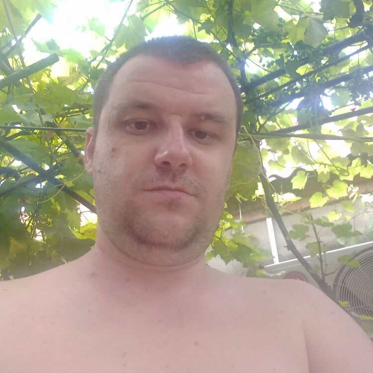  23722461  , 38 ,    