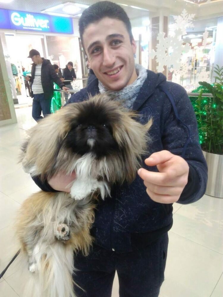 ���� 8617741 ������� MANCH, 31 ���, ���� ���������� � �������������