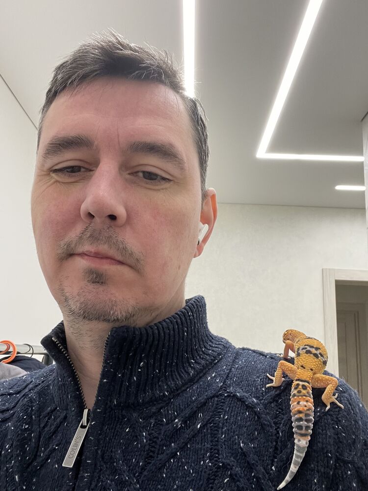 ���� 56081041 ������� ����, 41 ���, ���� ���������� � ������