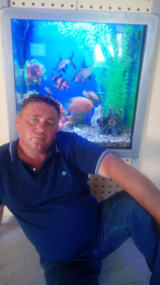  -,   , 55 ,   ,   , c 