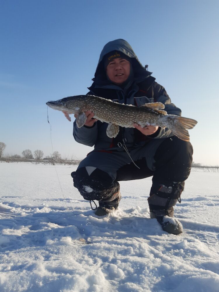 ���������� �����, ���� ������� �������, 37 ���, ������������ ��� ������, ����� � ���������