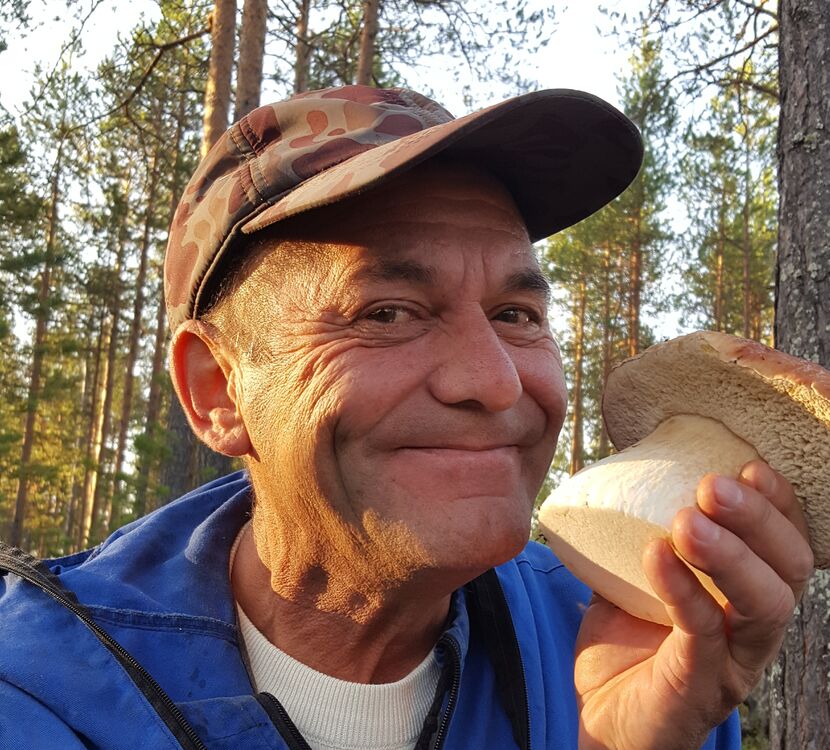 ,   , 61 ,  
