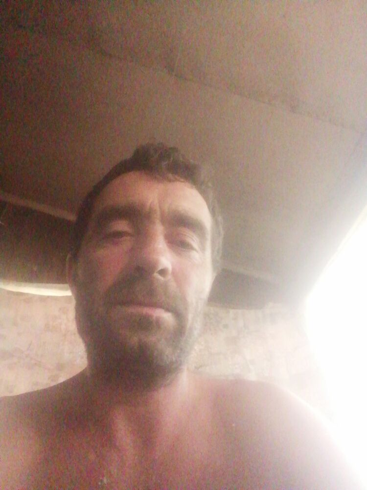  45640411  , 43 ,    
