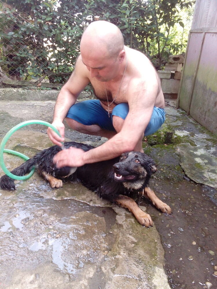 ���� 10336371 ������� Temur�, 49 ���, ���� ���������� � �����-����������