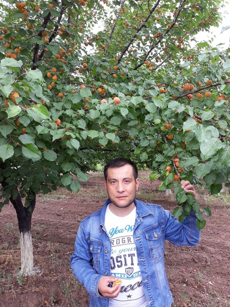  ,   , 38 ,   