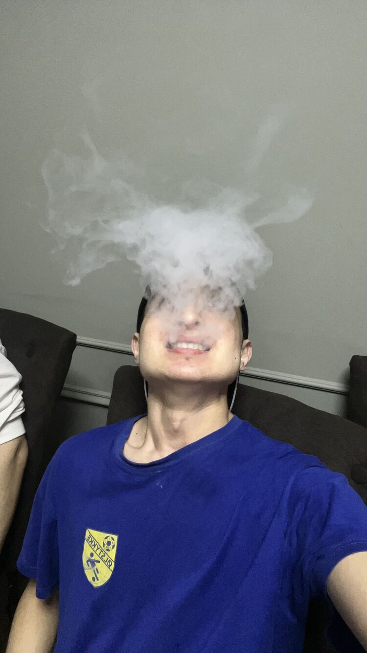  44503791  , 22 ,    