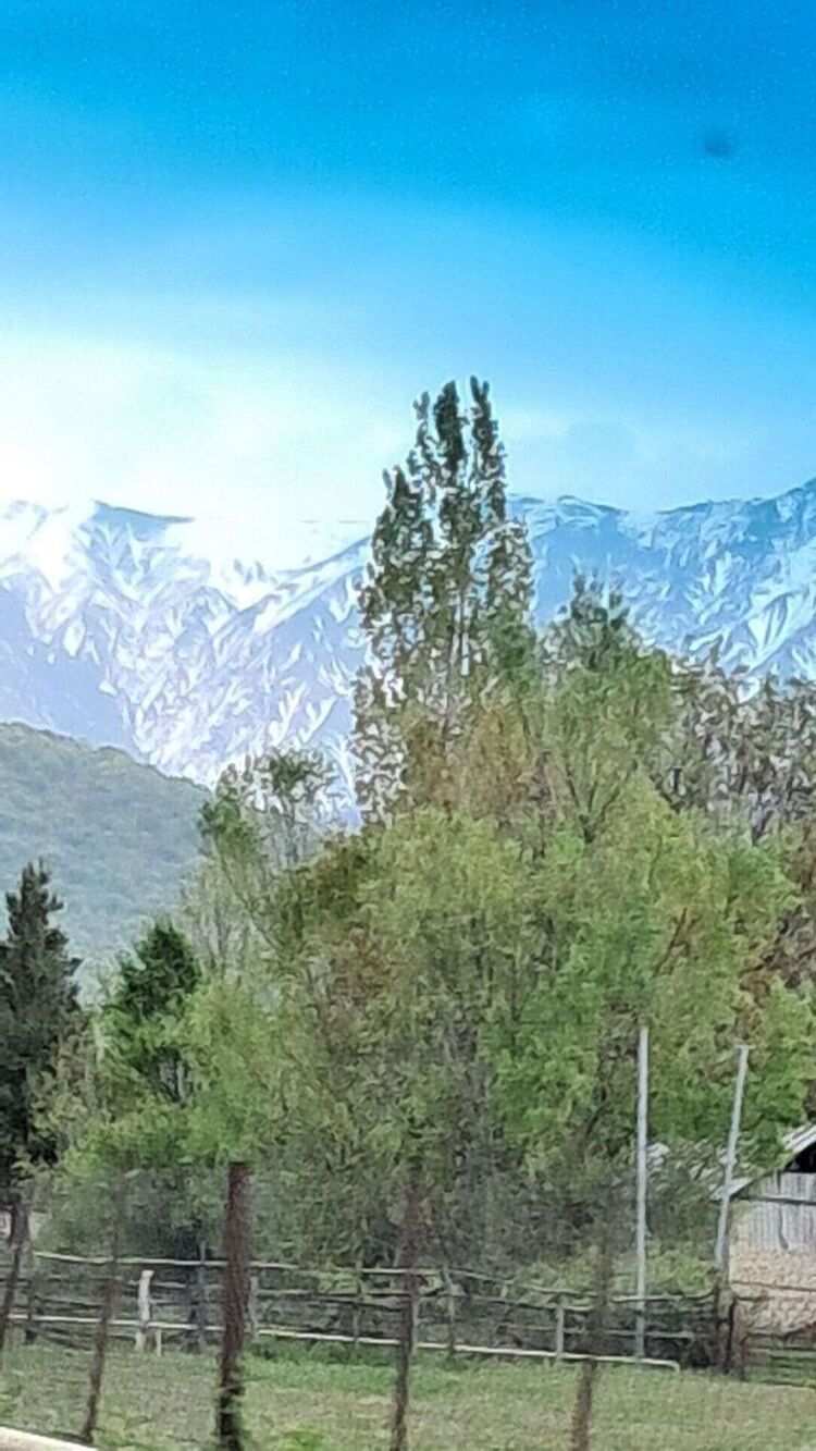  52193361  M, 44 ,    