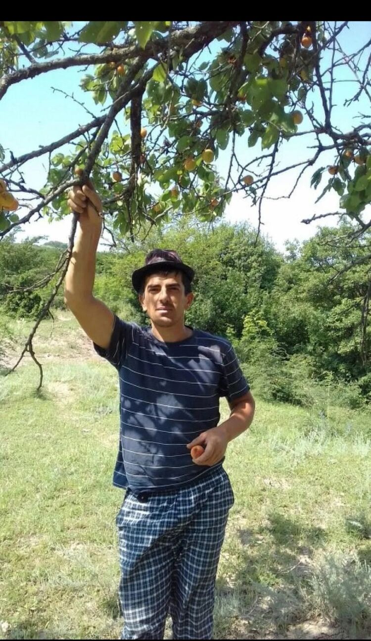 ���� 46147211 ������� ������, 36 ���, ���� ���������� � ������