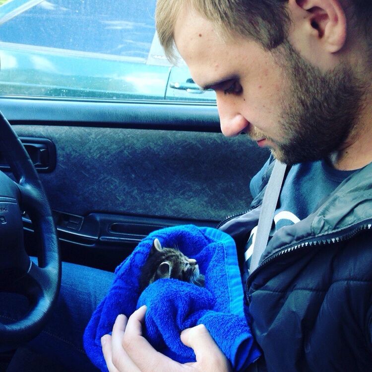 ���� 56055071 ������� �������, 37 ���, ���� ���������� � ��������